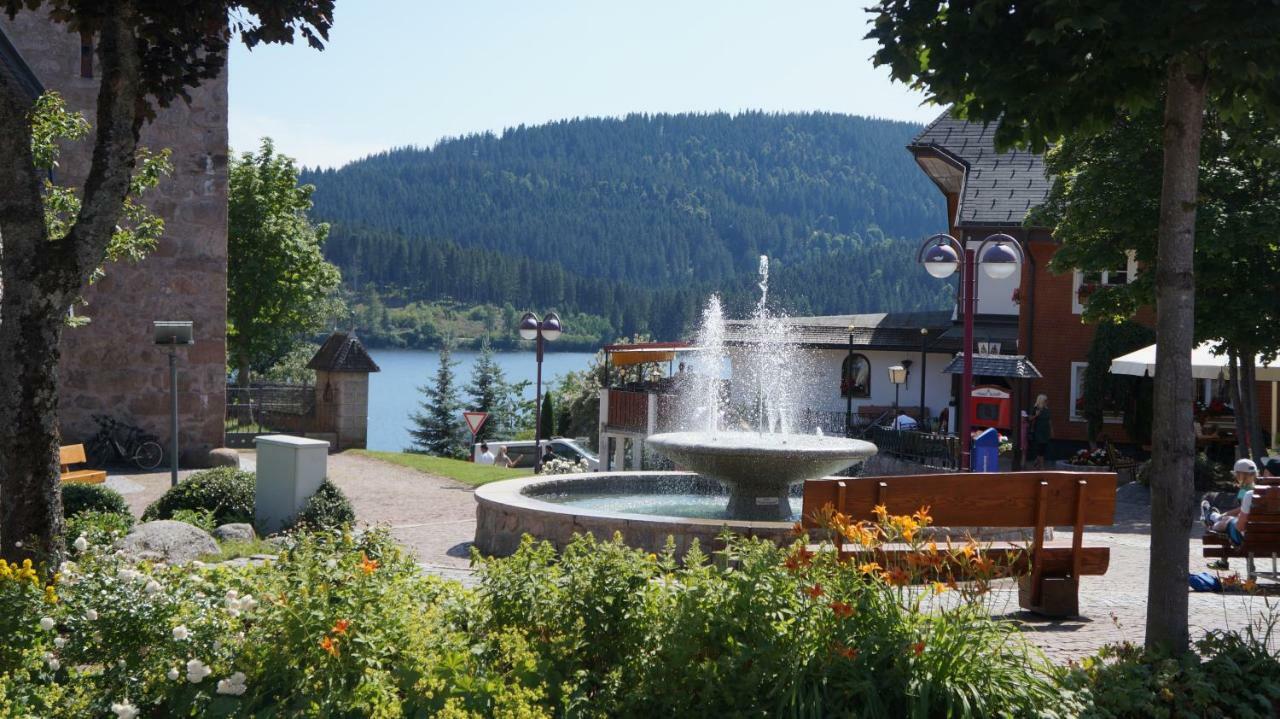 Waldblick Apartment Schluchsee Luaran gambar